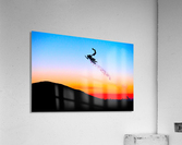 Tropical Flights Acrylic Print