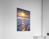 Cosmos Fusion Acrylic Print