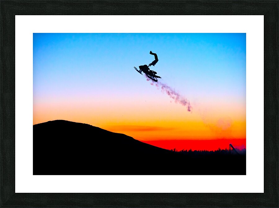 Tropical Flights Picture Frame print