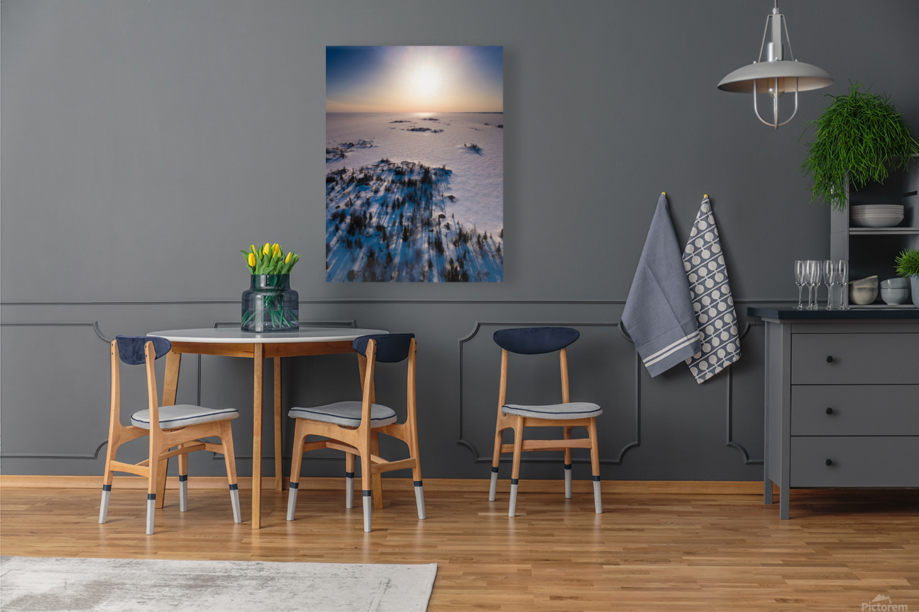 Island Vibes Reproduction