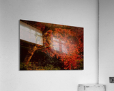 Maple Red NYC Acrylic Print