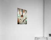 White Birch NYC Acrylic Print