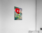 Red Rose NYC Acrylic Print