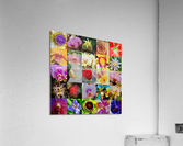 Flowers Acrylic Print