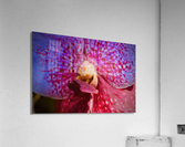 Orchid 6 NYC Acrylic Print
