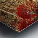 Gapstow Bridge NYC Metal print