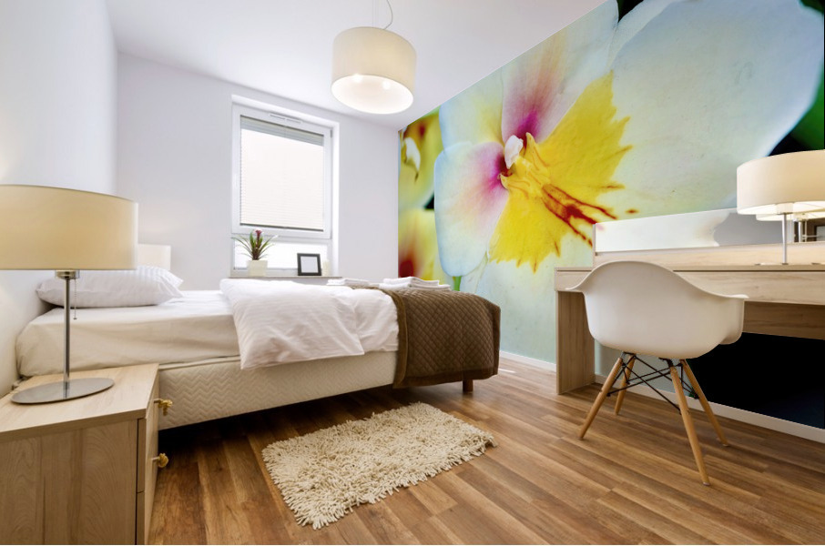 Miltonia NYC Mural print