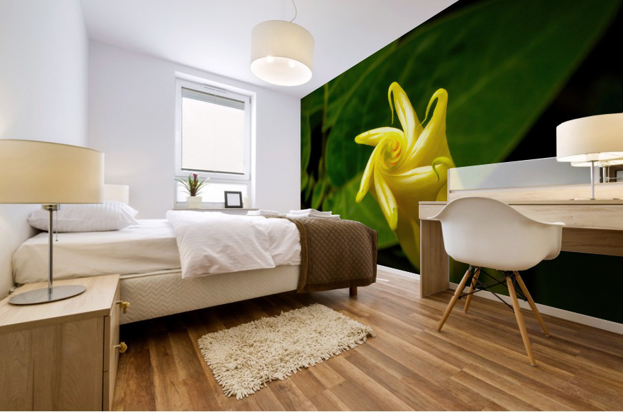 Nymphaea Ampla NYC Mural print