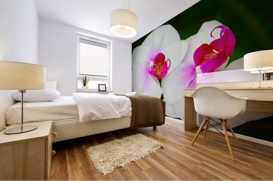 Orchid 9 NYC Mural print