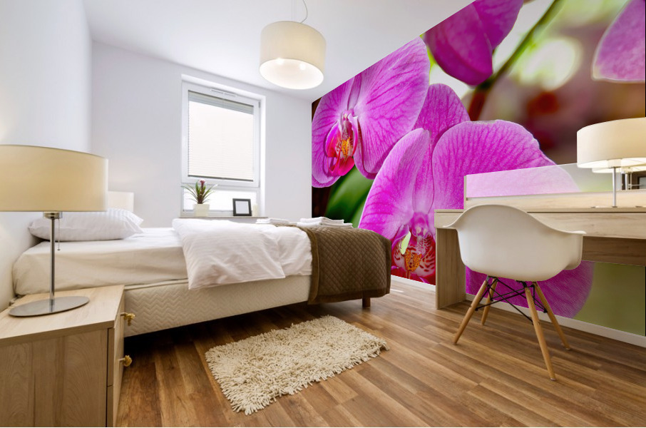 Orchid 8 NYC Mural print