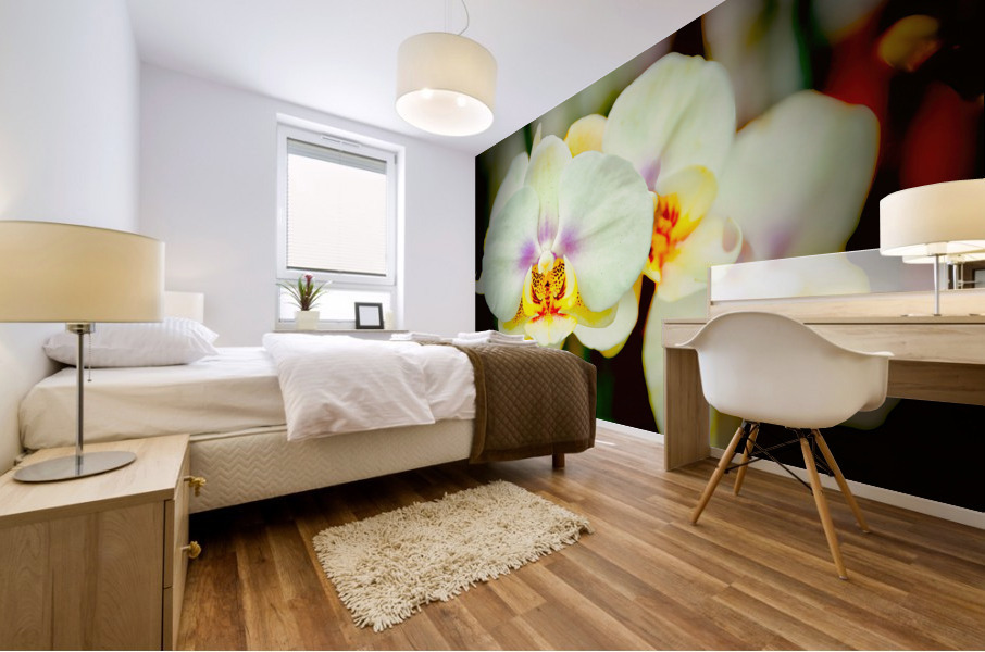 Orchid 7 NYC Mural print