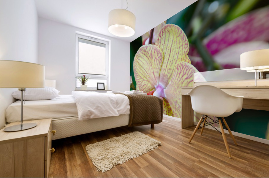 Orchid 5 NYC Mural print