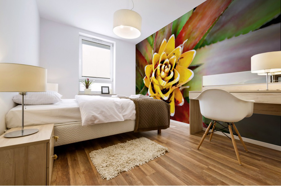 Cactus Flower NYC Mural print