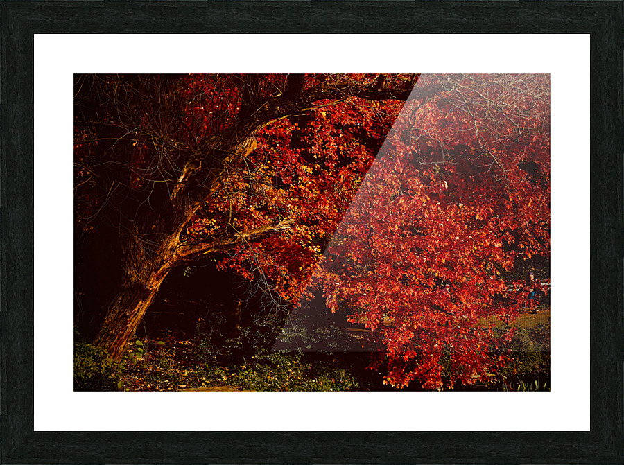 Maple Red NYC Picture Frame print