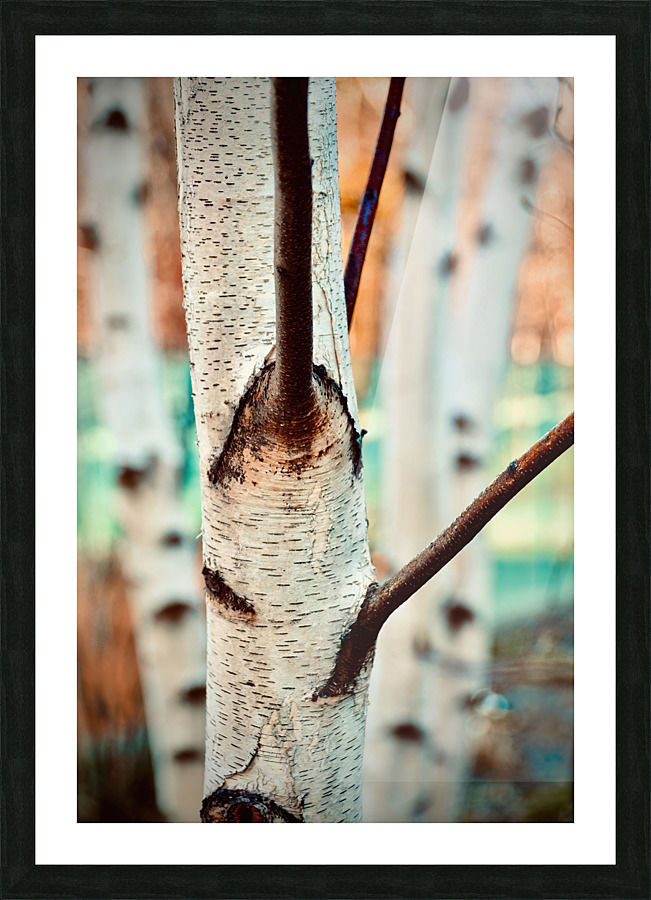 White Birch NYC Picture Frame print