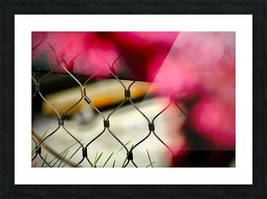 High Line Wire NYC Picture Frame print