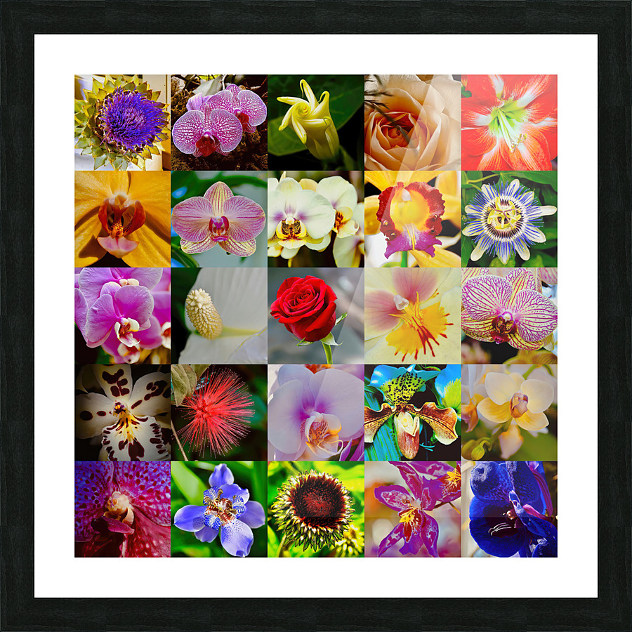 Flowers Picture Frame print