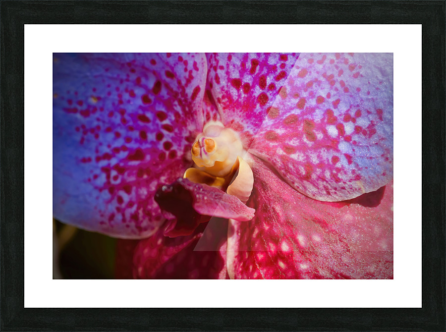Orchid 6 NYC Picture Frame print