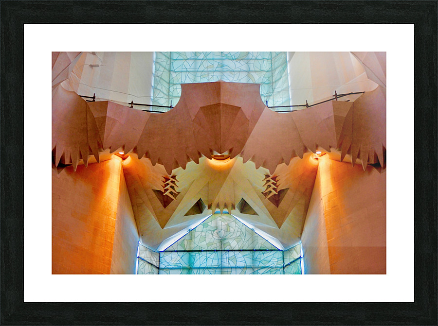 Eagle Feature Barcelona Spain Picture Frame print