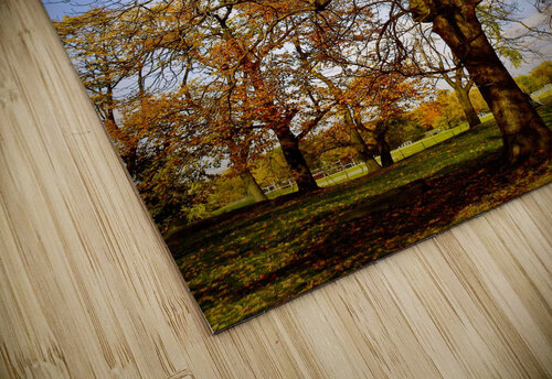 Lost Leaves NYC Fred J Bivetto puzzle