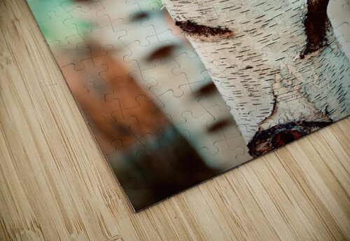 White Birch NYC Fred J Bivetto puzzle