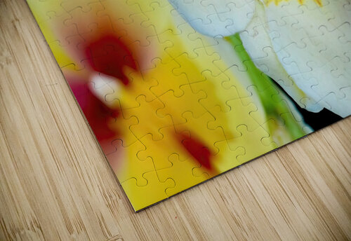 Miltonia NYC Fred J Bivetto puzzle