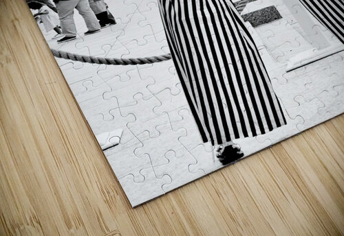 Harlequin 6 NYC Fred J Bivetto puzzle