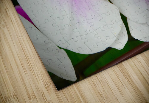 Orchid 9 NYC Fred J Bivetto puzzle