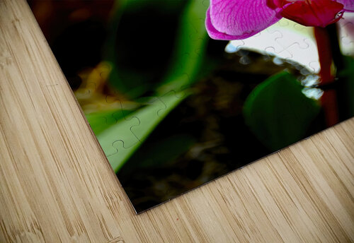 Orchid 8 NYC Fred J Bivetto puzzle
