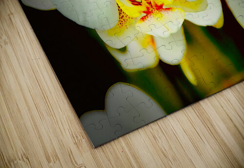 Orchid 7 NYC Fred J Bivetto puzzle