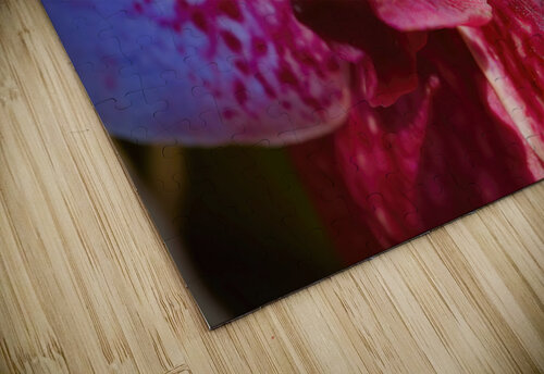 Orchid 6 NYC Fred J Bivetto puzzle