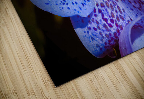 Orchid 4 NYC Fred J Bivetto puzzle