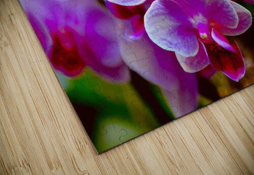 Orchid 2 NYC Fred J Bivetto puzzle