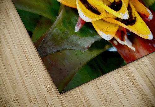 Cactus Flower NYC Fred J Bivetto puzzle