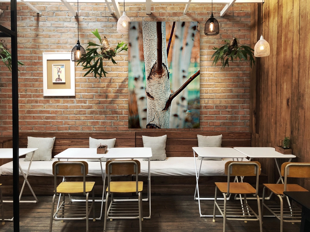 White Birch NYC Reproduction