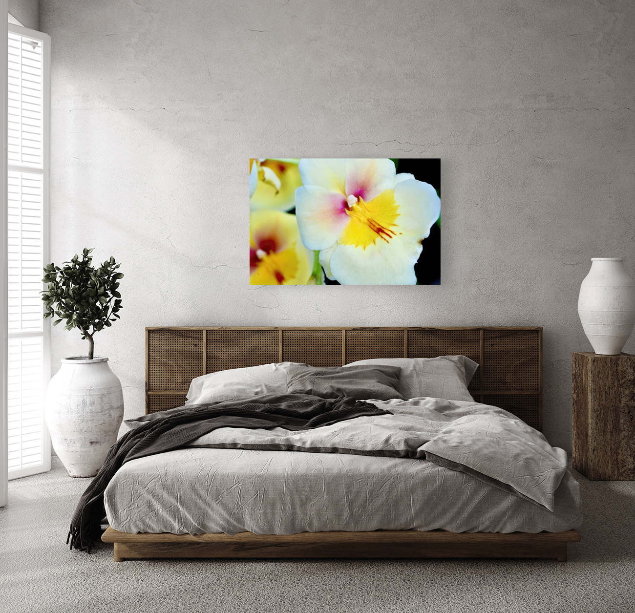 Miltonia NYC Reproduction