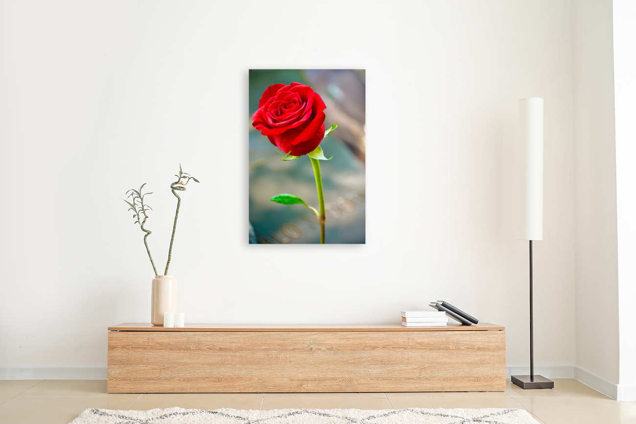 Red Rose NYC Reproduction