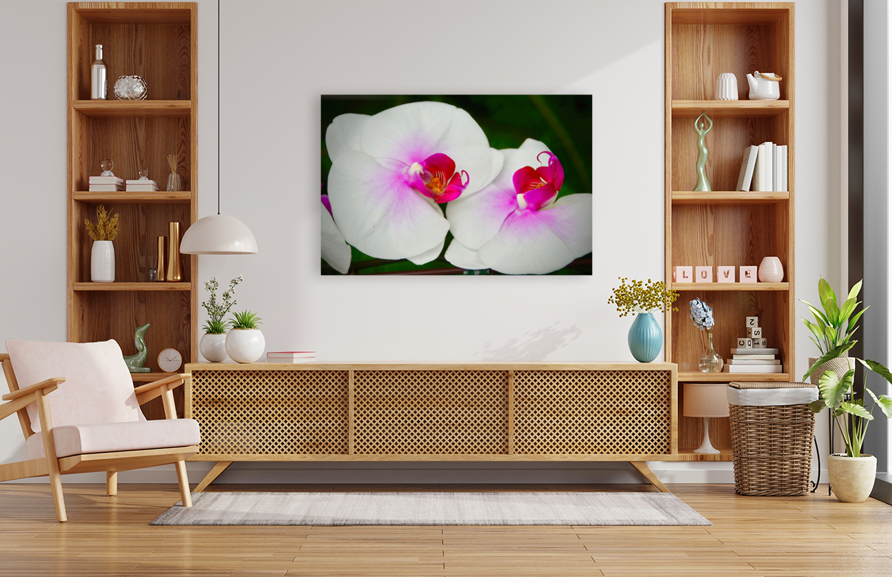 Orchid 9 NYC Reproduction