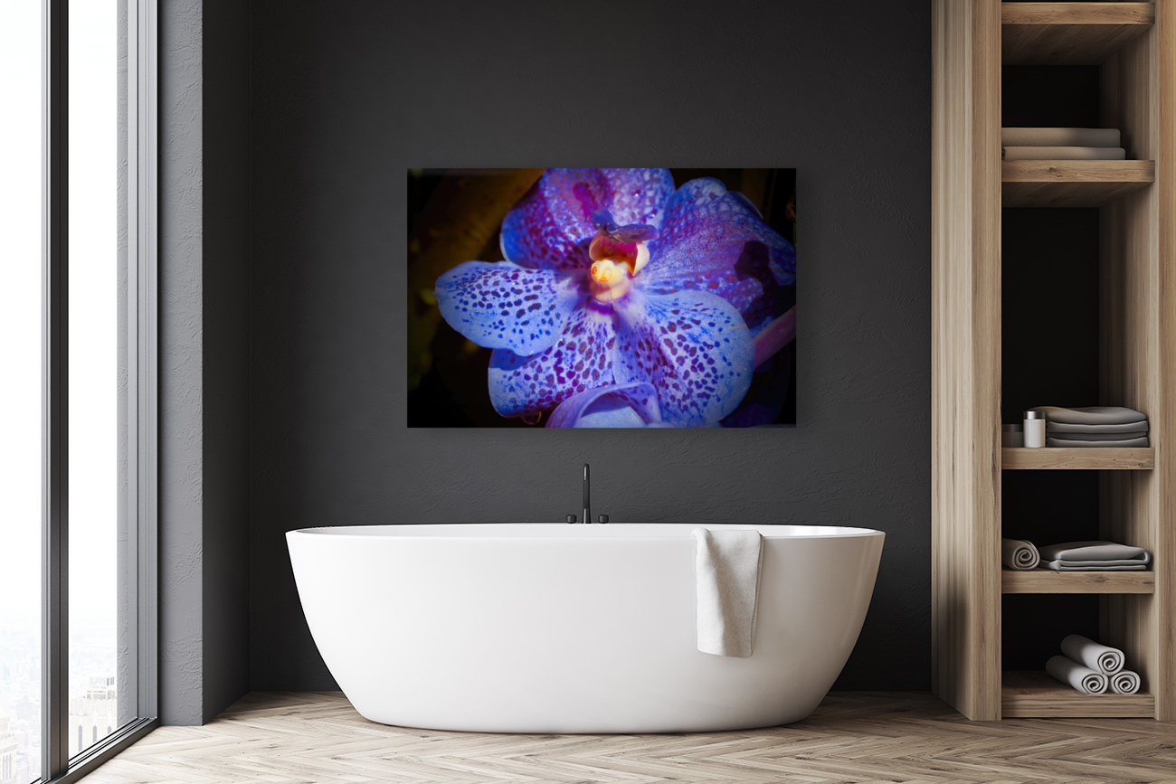 Orchid 4 NYC Reproduction