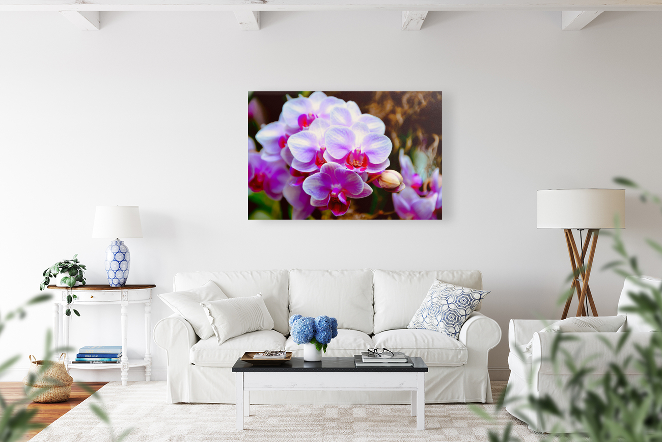 Orchid 2 NYC Reproduction