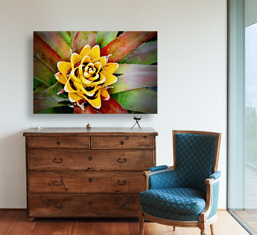 Cactus Flower NYC Reproduction