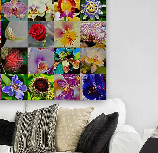 Flowers by Fred J Bivetto