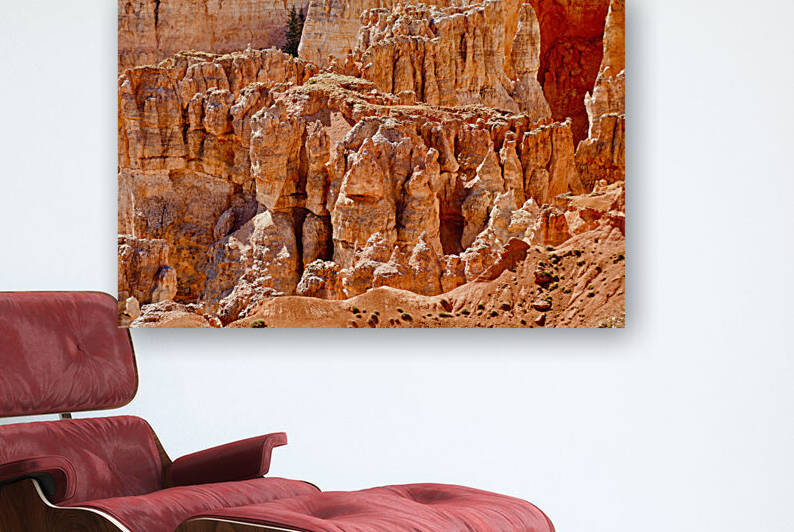 Hoodoo Formations Bryce Canyon National Park Utah by Fred J Bivetto