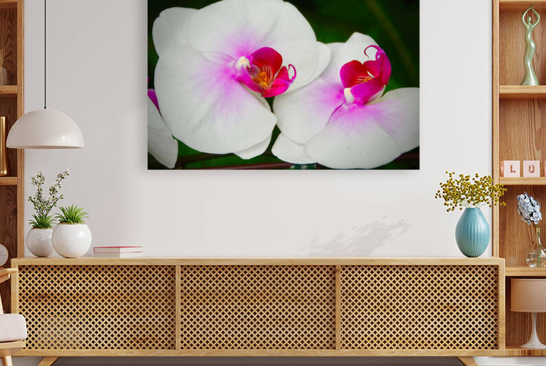 Orchid 9 NYC Reproduction