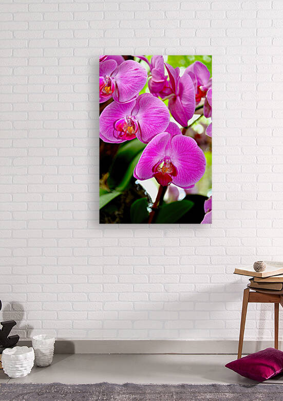 Orchid 8 NYC Reproduction