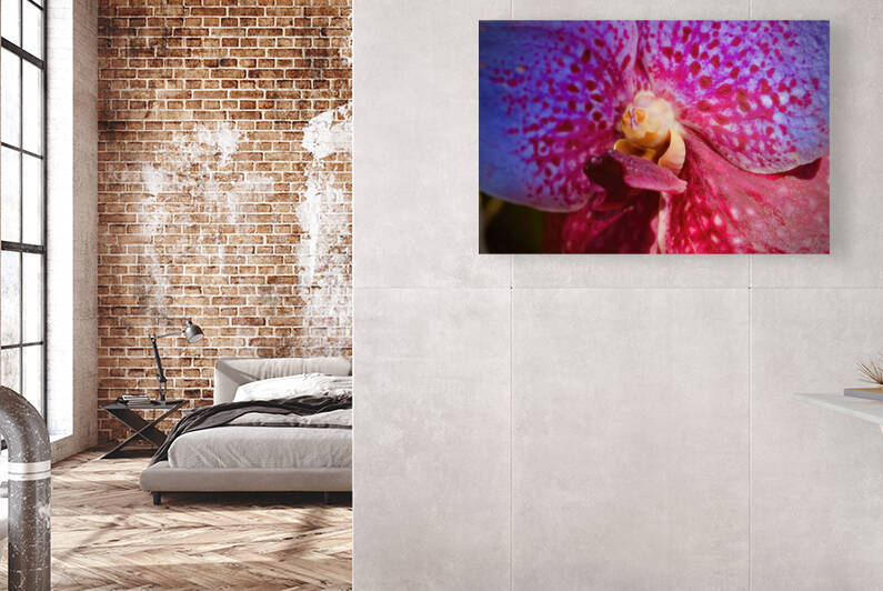 Orchid 6 NYC Reproduction