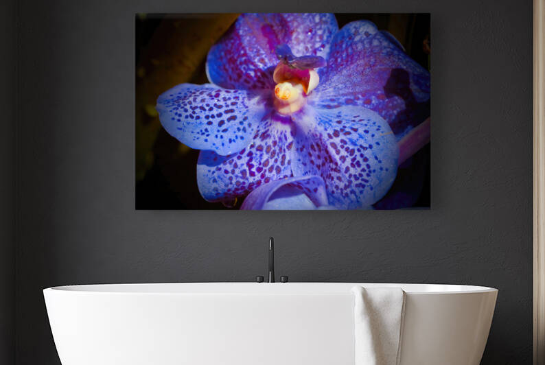 Orchid 4 NYC Reproduction