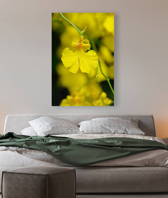 Orchid 3 NYC Reproduction