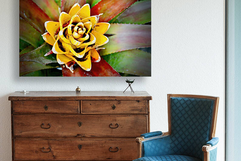 Cactus Flower NYC Reproduction