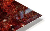 Maple Red NYC HD Metal print